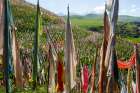 Tibet, Kham, Tagong. Prayer flags on hill. Art Print